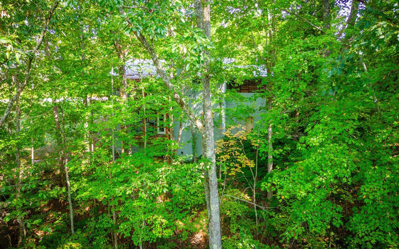 Villa Dollys Getaway Sevierville Exterior foto